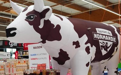 🎉 Le Frisson Normand s’installe en allée centrale de l’Intermarché de Verneuil sur Avres ! 🧀🍏